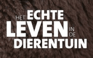 Het echte leven in de dierentuin